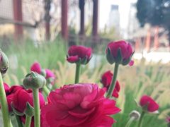-九献创意菜·牛排馆(亮马河花园店)
