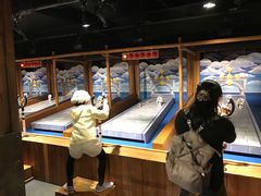 -东京塔海贼王主题公园