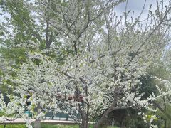 -红山体育馆