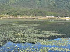 -腾冲北海湿地
