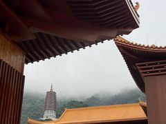 -深圳仙湖植物园