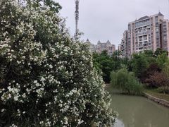 -徽园