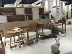 大堂-藏猫猫咖啡主题馆(中央大道店)