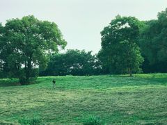 -良渚古城遗址公园