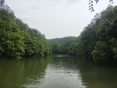 -青龙山国家森林公园