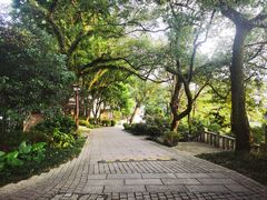-乌山风景区
