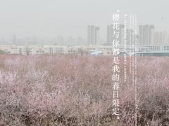 -明秦王墓遗址