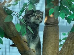 -青藏高原野生动物园