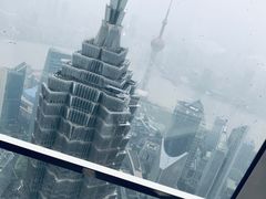 -上海柏悦酒店·世纪100牛排馆