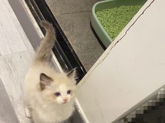 -达爱动物医院·犬猫分区·CT·复杂眼科(远洋山水分院)