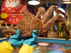 -日进一片海.生腌海鲜火锅.宵夜烧烤(三里屯总店)