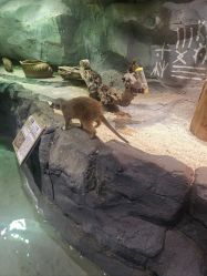 -Zoolung Zoolung动物主题公园(海信广场店)