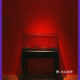 魔都探展｜安娜苏中国首展，紫色旋风席卷魔都