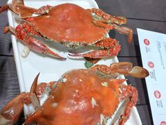 -大锅强·蒸海鲜青岛菜(吾悦广场店)