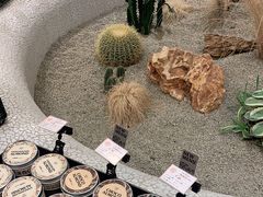 -OUR Bakery(SKP-S店)