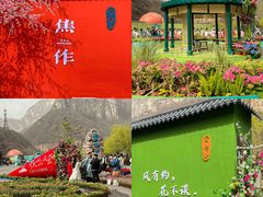 -云台山风景名胜区