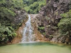 -南海湾森林生态园