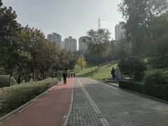 -龙头寺公园