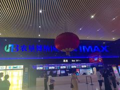 -农垦博纳国际影城(津奥广场IMAX店)