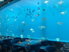-瑞德姆美人鱼海底演艺主题餐厅(亚龙湾店)