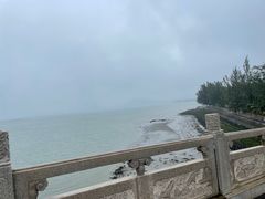-万绿园