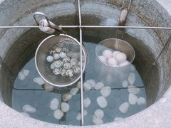 -凤翔首邑温泉度假村