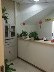 -碧莲盛·不剃发植发