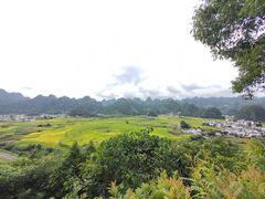-万峰林风景区