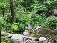 -玉渡山自然风景区