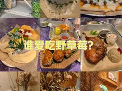 -野草莓自由市场
