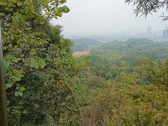 -聚龙山公园