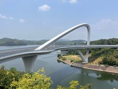 -天乐农家鱼头王(天目湖店)