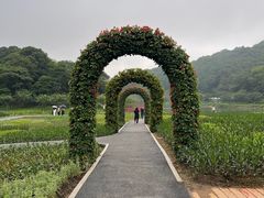 -广州市石门国家森林公园