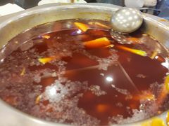 -冯记香辣兔火锅(茶店子总店)
