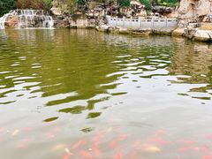 -北京西山国家森林公园