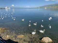 -青海湖国家重点风景名胜区
