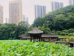 -龙头寺公园