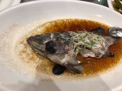 -頂好酒家·经典粤菜(海信广场店)