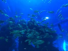 -成都浩海立方海洋公园