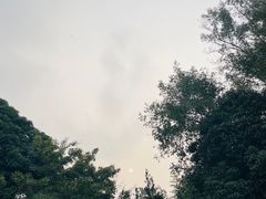 -上海市保健医疗中心