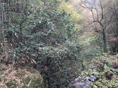 -藏龙百瀑风景区