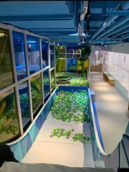 -KidSteam儿童乐园(富力城店)