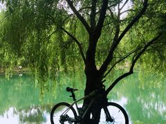 -贵阳市花溪国家城市湿地公园