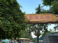 -大望京公园