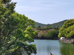 -白马涧龙池景区