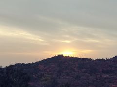 -府君山公园