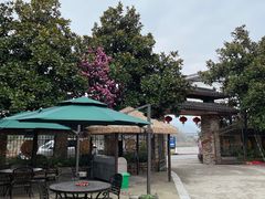 -临江宴餐厅·桐庐菜(富春江店)