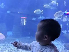 -重庆欢乐海底世界