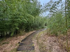 -卓筒井遗址公园