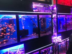 -万商花鸟市场